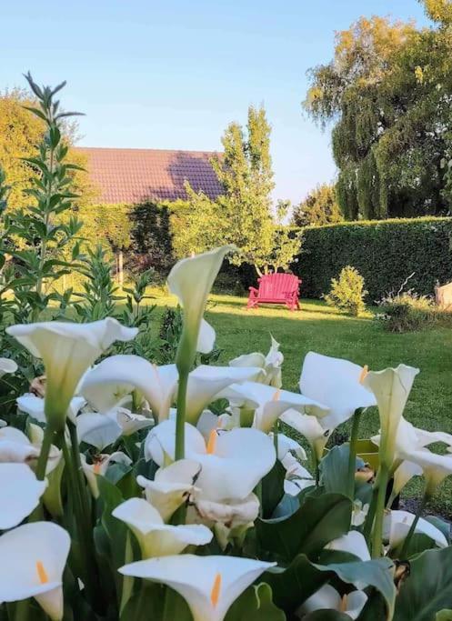 Le Jardin Des Lacs Gite Nature Et Spa Ardres Buitenkant foto